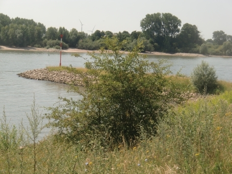 Rees : Blick über den Rhein von der Rheinpromenade